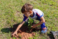 Plantio-Dia-da-Arvore_Lins-10