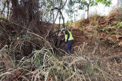 Afugentamento-e-resgate-de-fauna-3