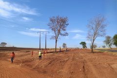 Supressao-de-vegetacao